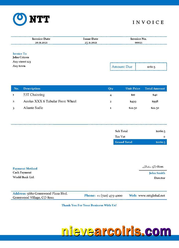 USA NTT invoice
